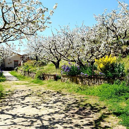 Casa Valeriana Villa นาวากอนเซโค ภายนอก รูปภาพ