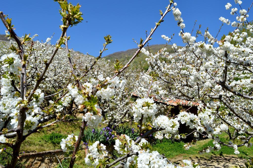 Casa Valeriana Villa นาวากอนเซโค ภายนอก รูปภาพ